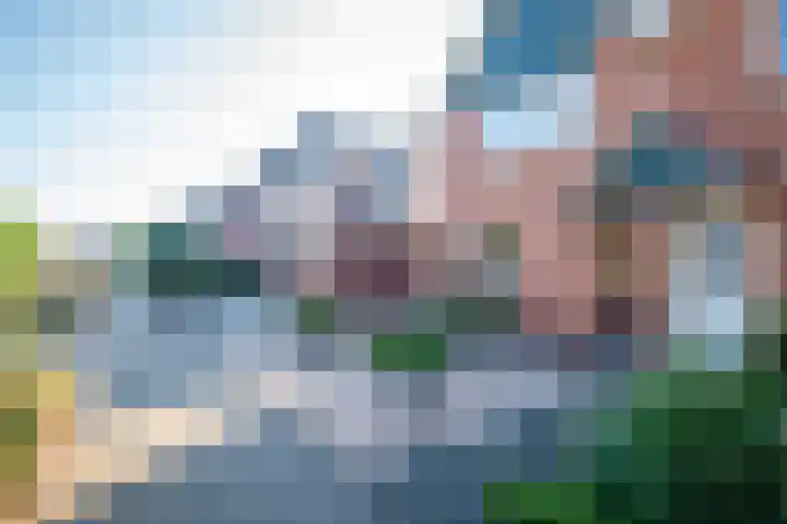 Sikkel 16 Hasselt thumbnail 44