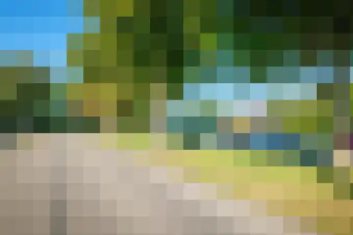 Sikkel 16 Hasselt thumbnail 46