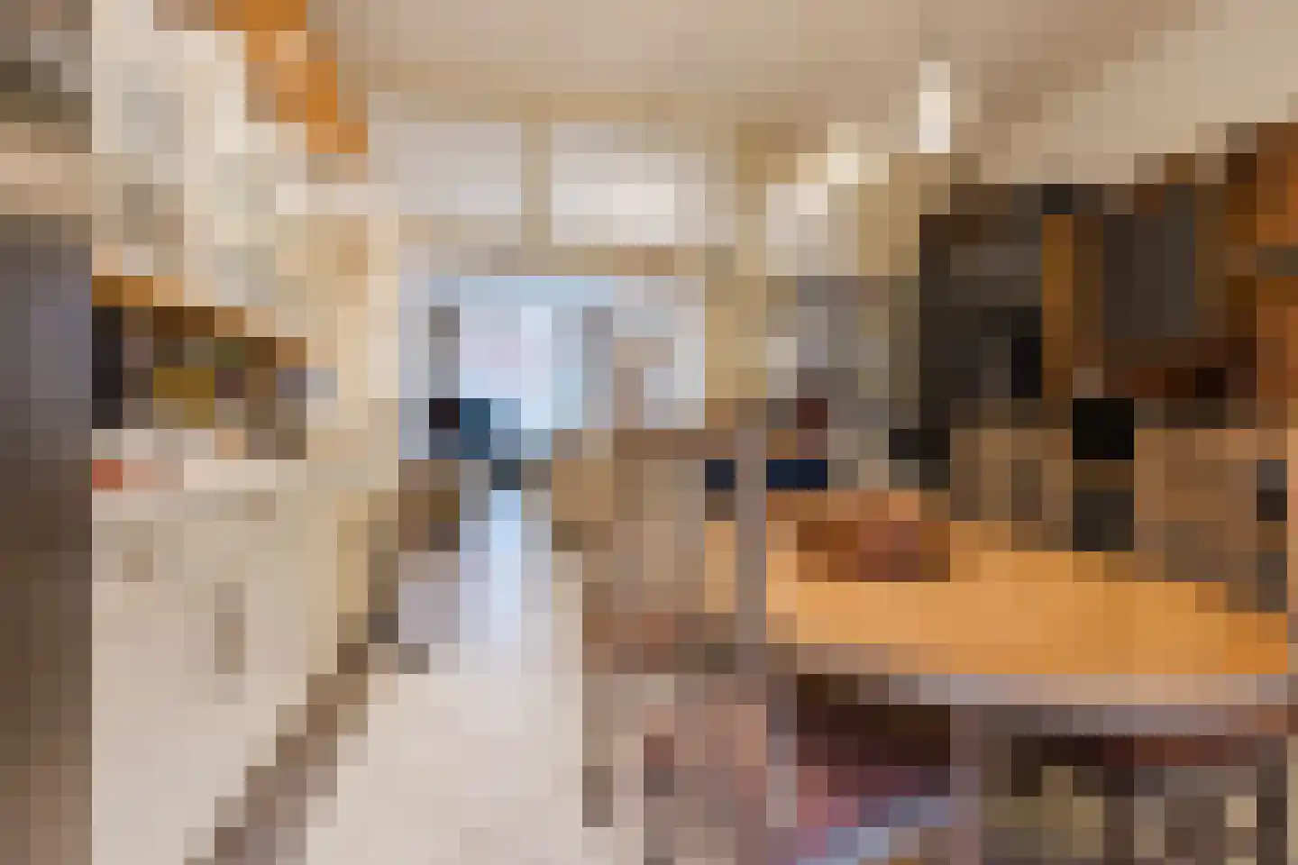 Sikkelstraat 32 Rotterdam thumbnail 10
