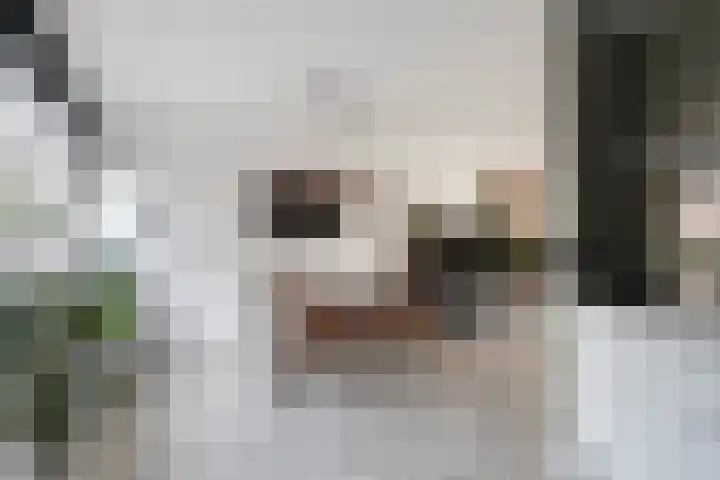 Silene 67 Kampen thumbnail 16