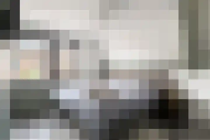 Silene 67 Kampen thumbnail 24