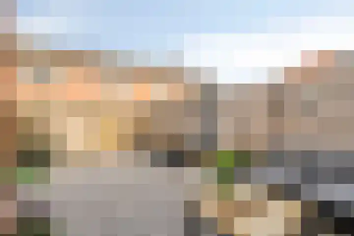 Silene 67 Kampen thumbnail 42