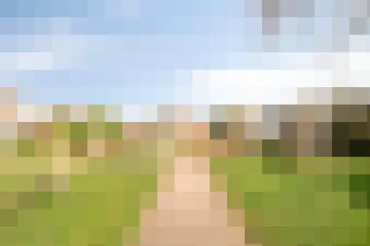 Silene 67 Kampen thumbnail 49