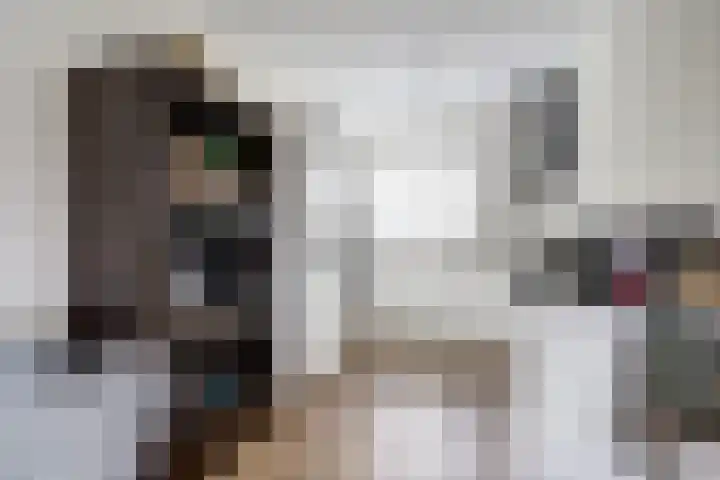 Silenus 50 Cuijk thumbnail 11