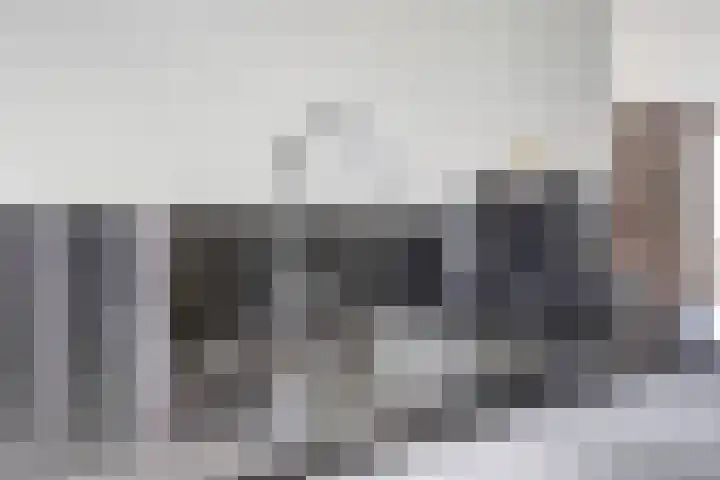 Silenus 50 Cuijk thumbnail 12
