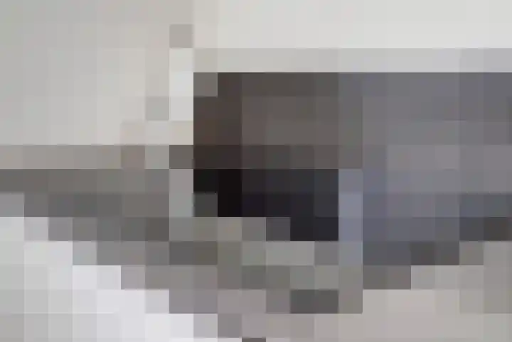Silenus 50 Cuijk thumbnail 13