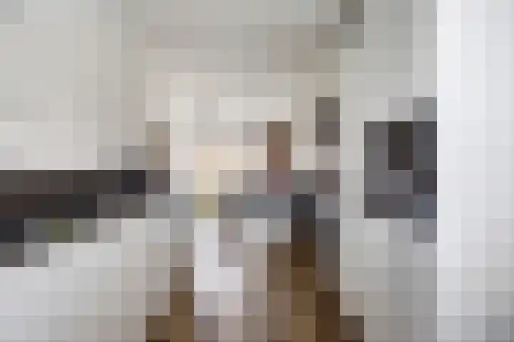 Silenus 50 Cuijk thumbnail 14