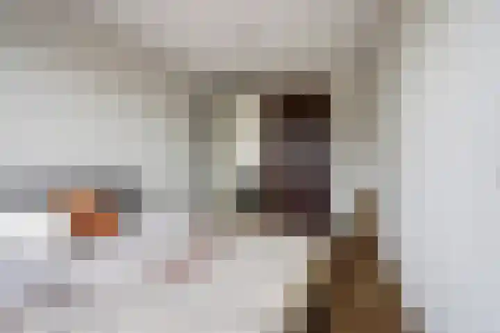 Silenus 50 Cuijk thumbnail 17