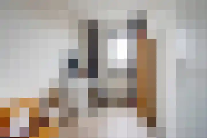 Silenus 50 Cuijk thumbnail 19