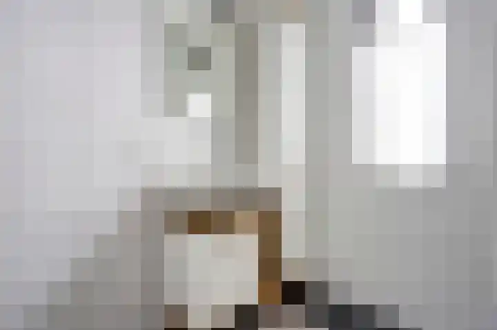 Silenus 50 Cuijk thumbnail 22