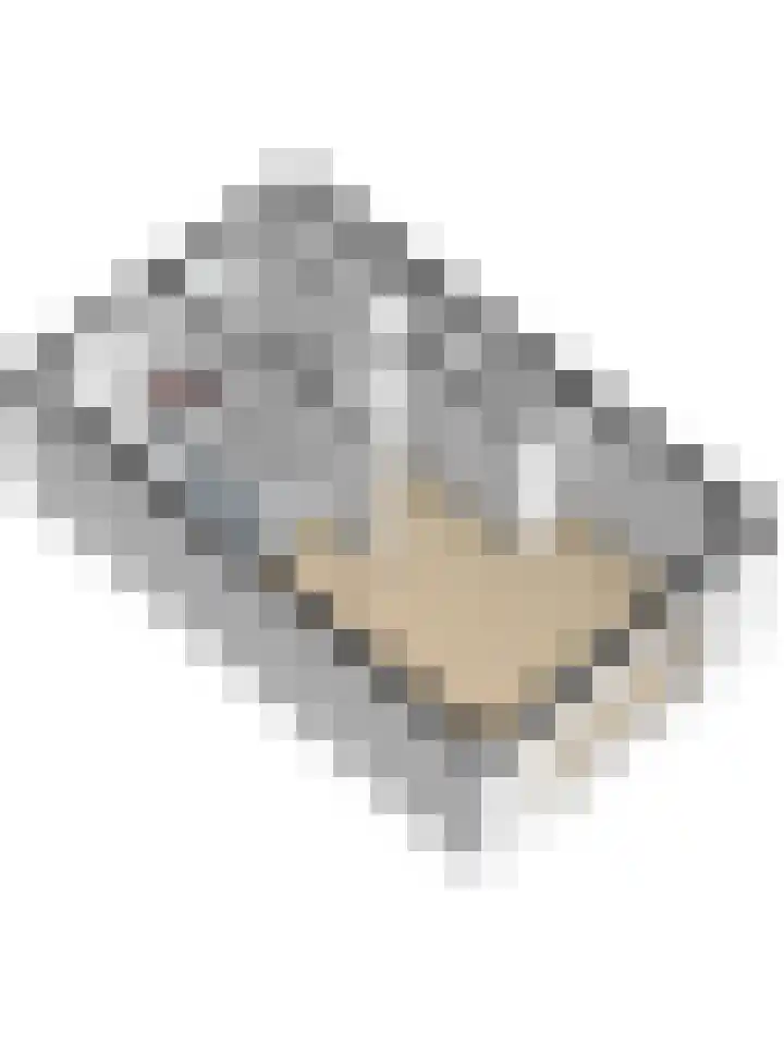 Silenus 50 Cuijk thumbnail 35