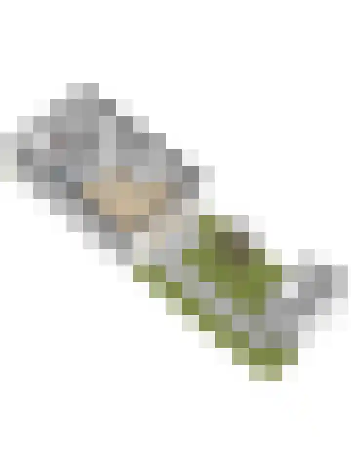 Silenus 50 Cuijk thumbnail 43