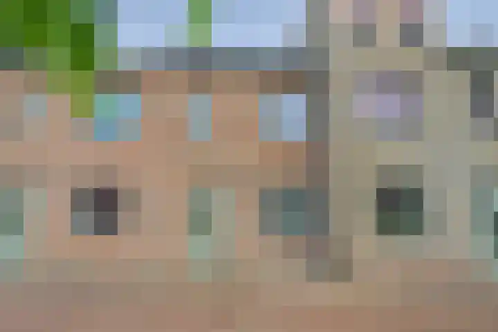 Silenus 50 Cuijk thumbnail 5