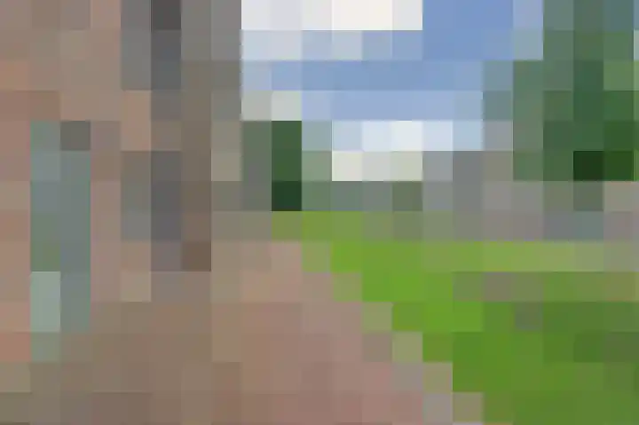 Silenus 50 Cuijk thumbnail 6