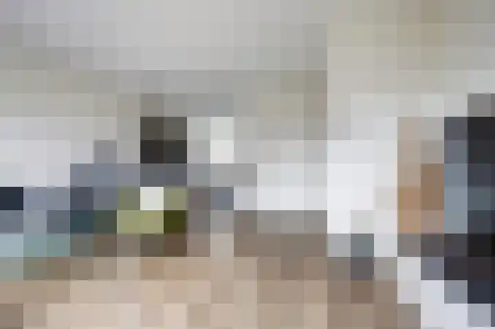 Silenus 50 Cuijk thumbnail 9