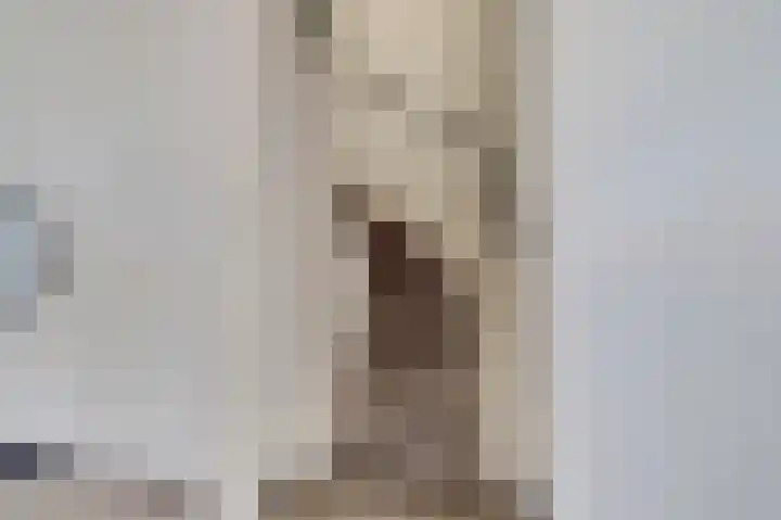 Silenus 72 Cuijk thumbnail 11