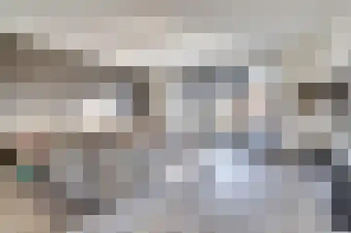 Silenus 72 Cuijk thumbnail 12