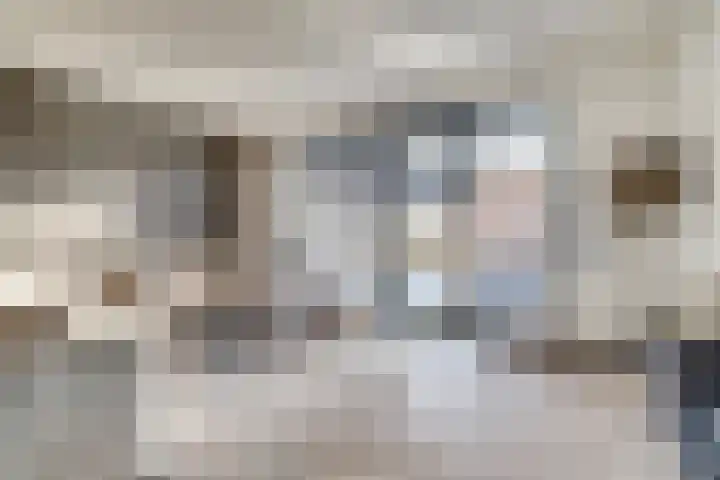 Silenus 72 Cuijk thumbnail 13