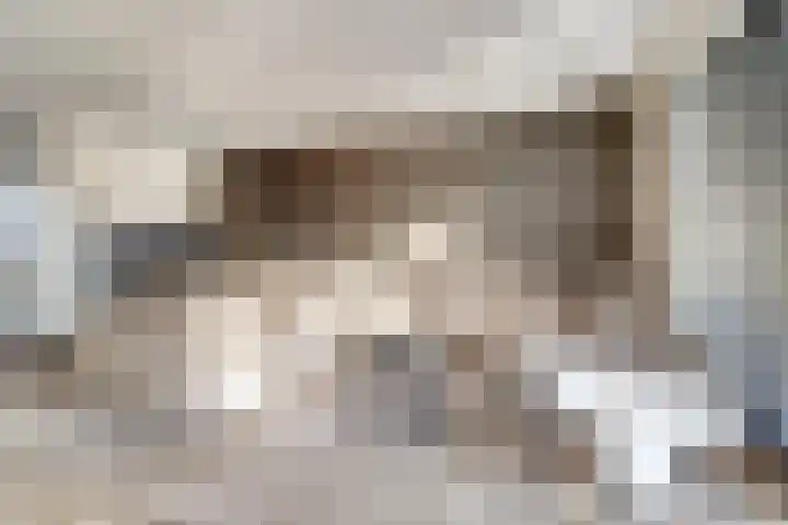 Silenus 72 Cuijk thumbnail 14