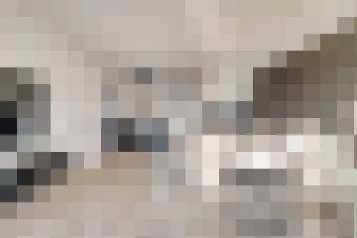 Silenus 72 Cuijk thumbnail 15