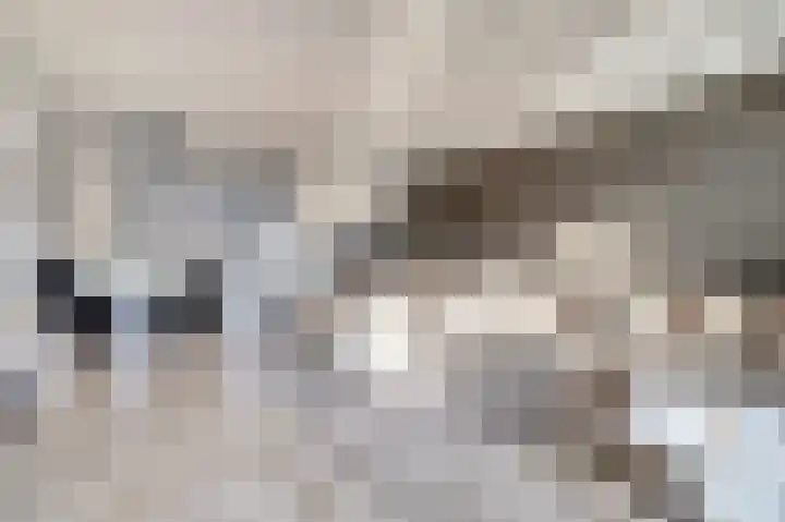 Silenus 72 Cuijk thumbnail 16