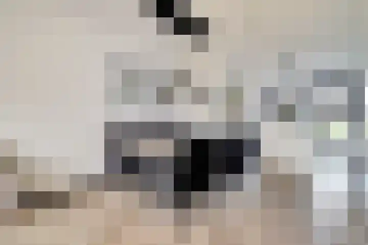 Silenus 72 Cuijk thumbnail 17