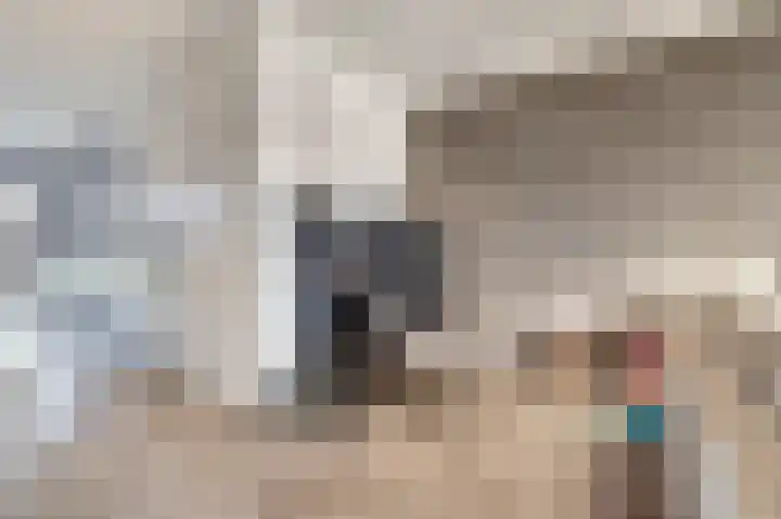 Silenus 72 Cuijk thumbnail 18