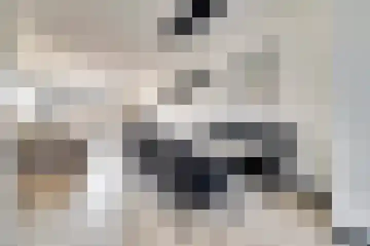 Silenus 72 Cuijk thumbnail 19