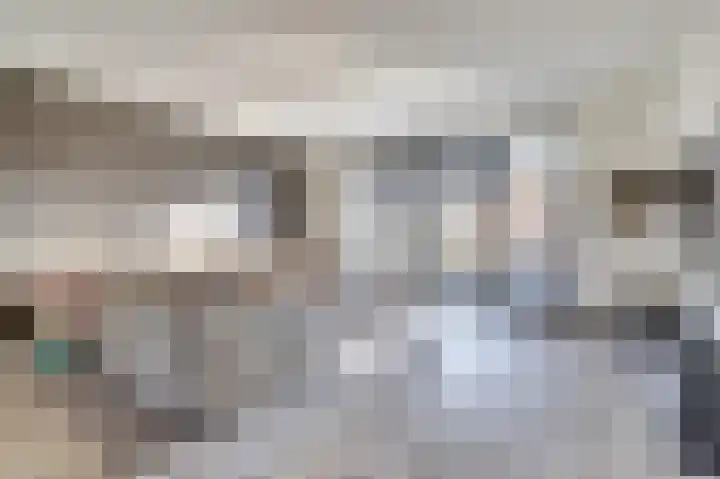 Silenus 72 Cuijk foto 2