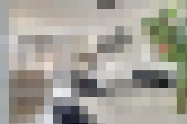 Silenus 72 Cuijk thumbnail 20