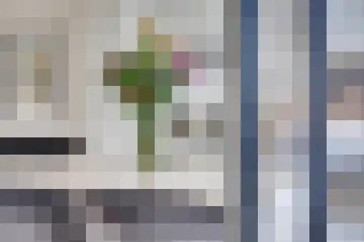 Silenus 72 Cuijk thumbnail 21