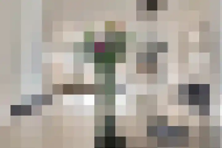 Silenus 72 Cuijk thumbnail 22