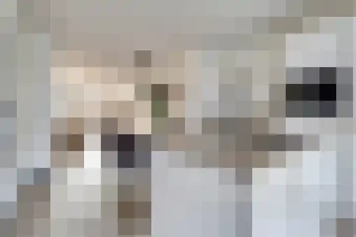 Silenus 72 Cuijk thumbnail 24