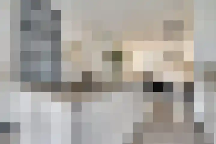 Silenus 72 Cuijk thumbnail 25