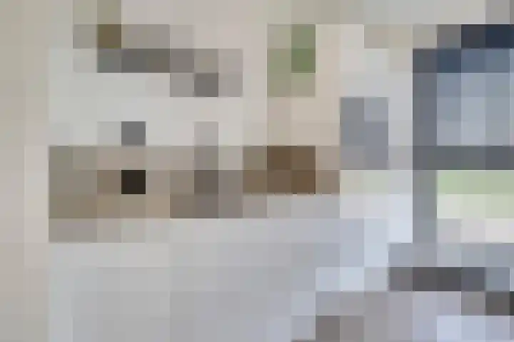 Silenus 72 Cuijk thumbnail 28