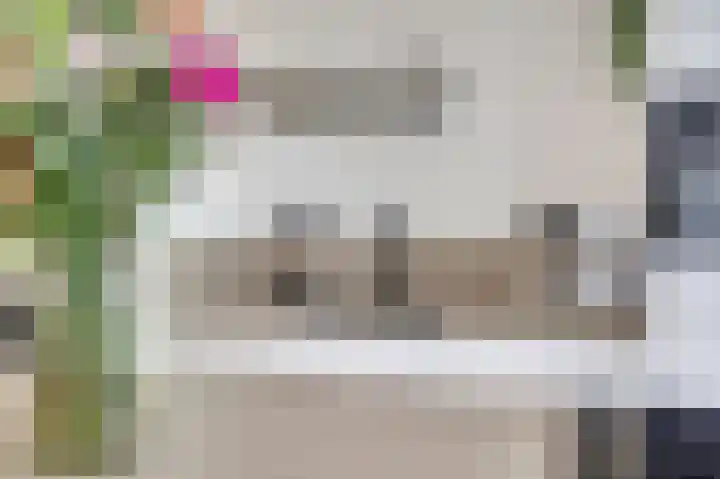 Silenus 72 Cuijk thumbnail 29