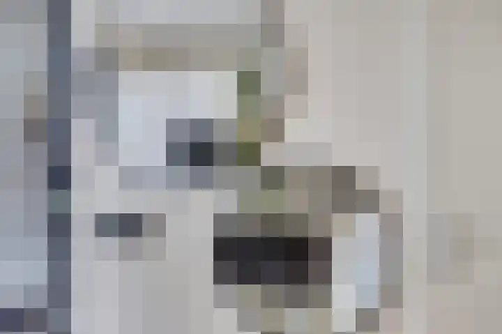 Silenus 72 Cuijk thumbnail 31