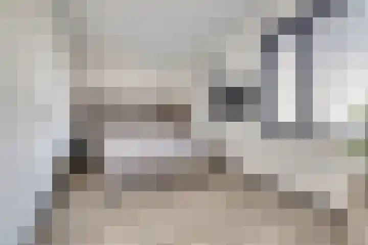 Silenus 72 Cuijk thumbnail 32