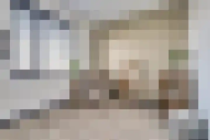 Silenus 72 Cuijk thumbnail 34