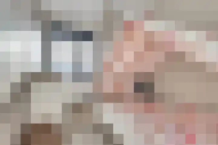 Silenus 72 Cuijk thumbnail 38