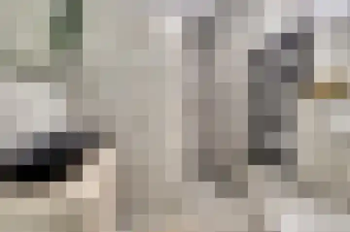 Silenus 72 Cuijk thumbnail 4
