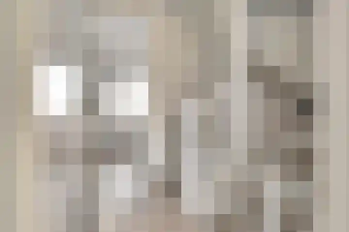 Silenus 72 Cuijk thumbnail 41