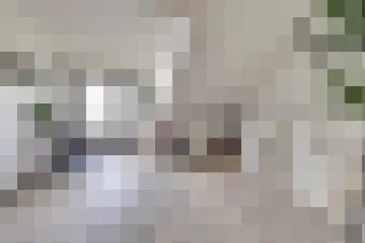 Silenus 72 Cuijk thumbnail 42