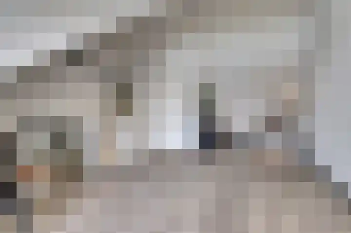 Silenus 72 Cuijk thumbnail 44