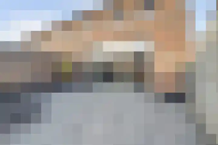 Silenus 72 Cuijk thumbnail 49