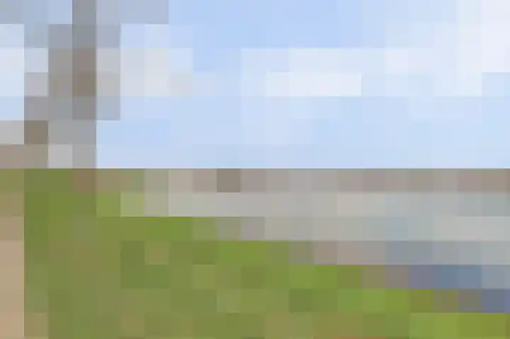 Silenus 72 Cuijk thumbnail 55