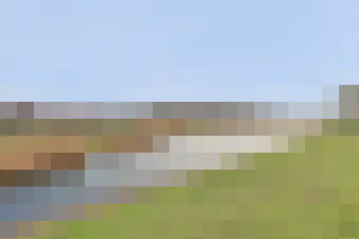 Silenus 72 Cuijk thumbnail 56