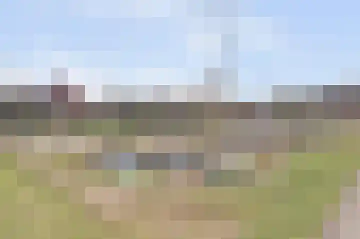 Silenus 72 Cuijk thumbnail 57