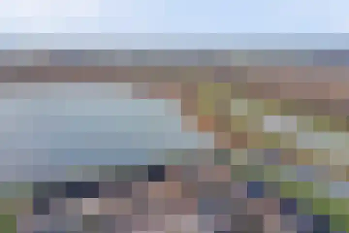 Silenus 72 Cuijk thumbnail 59