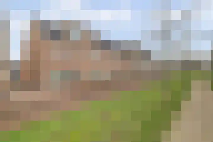 Silenus 72 Cuijk thumbnail 6